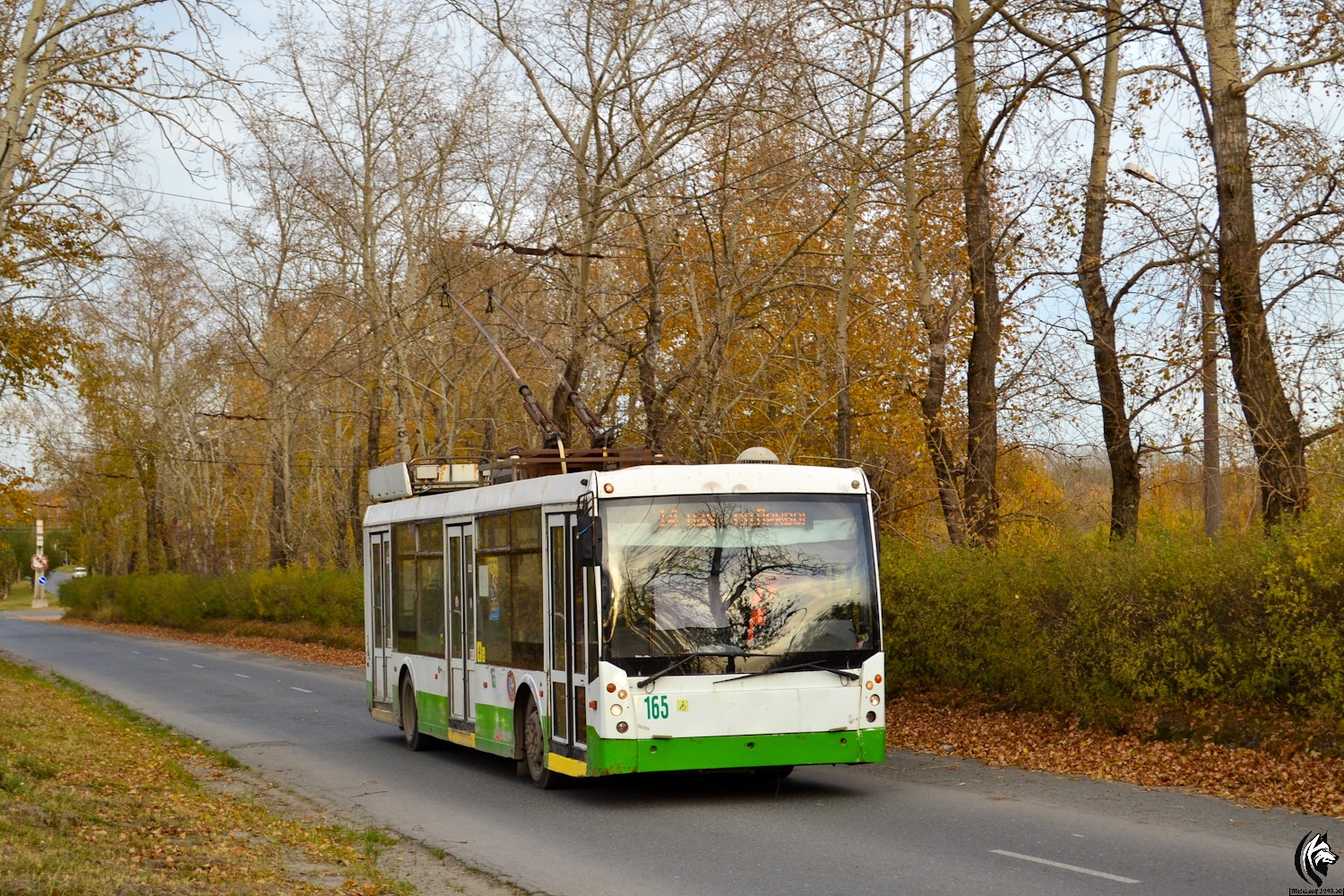 Березники, Тролза-5265.00 «Мегаполис» № 165