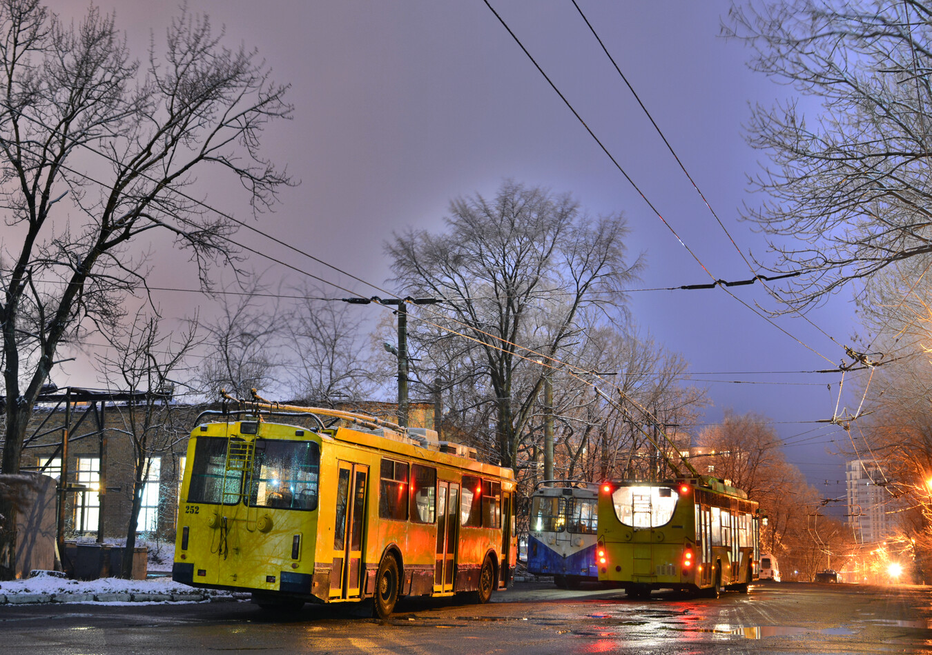 Владивосток, ЗиУ-682Г-016.02 № 252; Владивосток, ВМЗ-5298.01 «Авангард» № 256