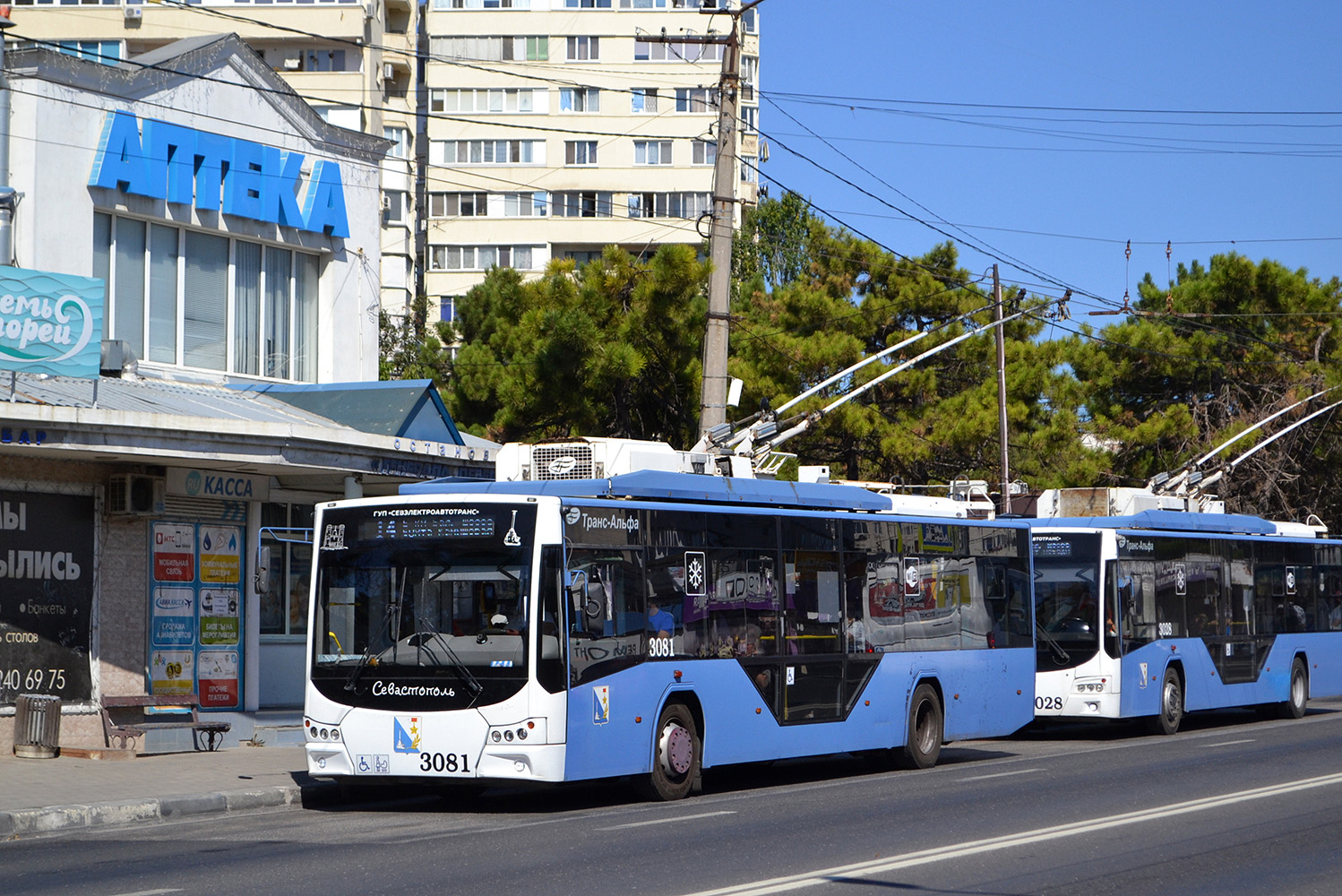 Севастополь, ВМЗ-5298.01 «Авангард» № 3081