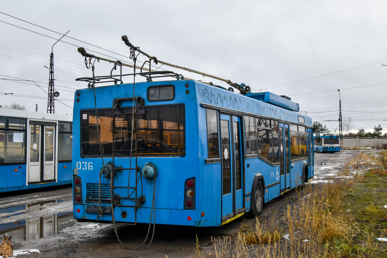 Дзержинск, СВАРЗ-МАЗ-6235.00 № 036