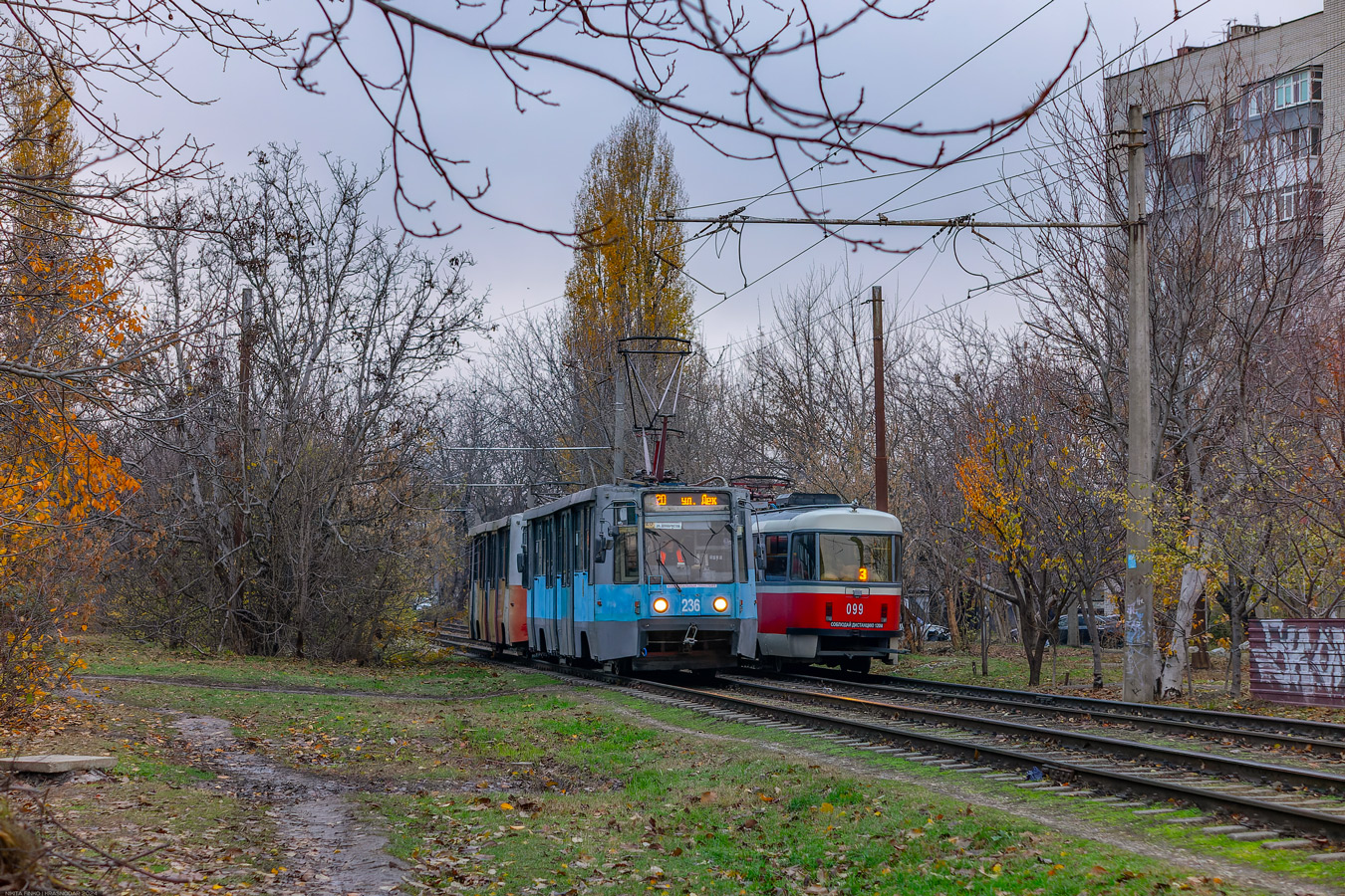 Краснодар, 71-608К № 236