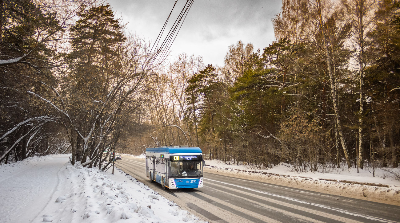 Новосибирск, УТТЗ-6241.01 «Горожанин» № 2530