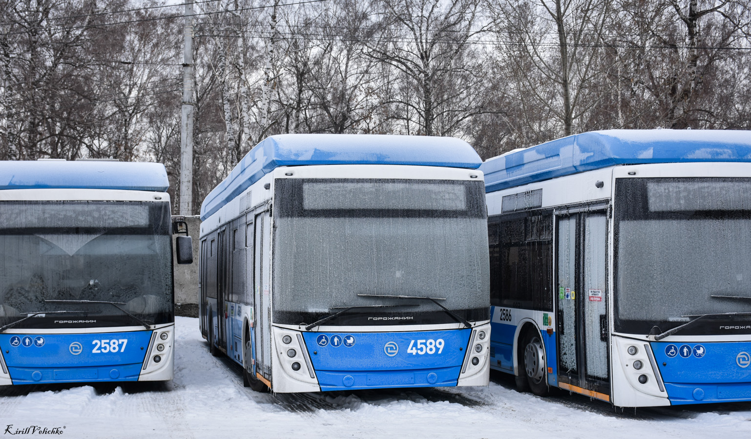 Новосибирск, УТТЗ-6241.01 «Горожанин» № 4589