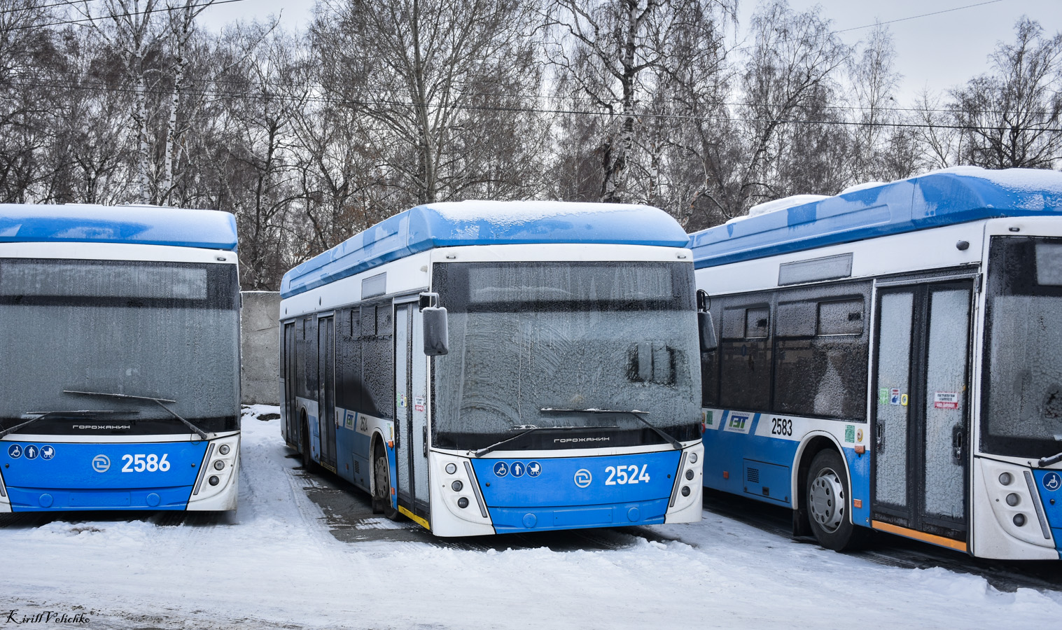 Novosibirsk, UTTZ-6241.01 “Gorozhanin” № 2524