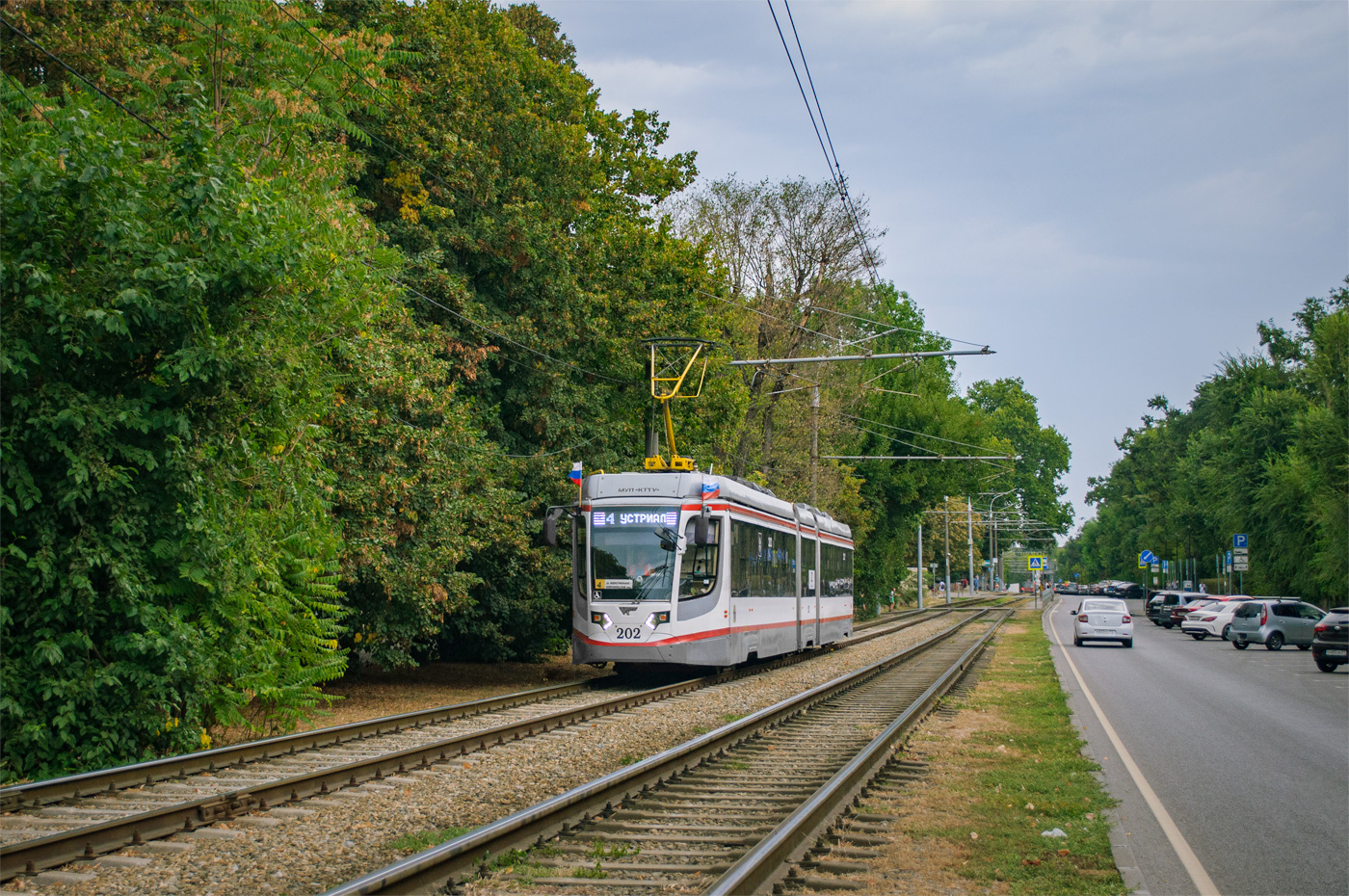 Краснодар, 71-631-03 № 202