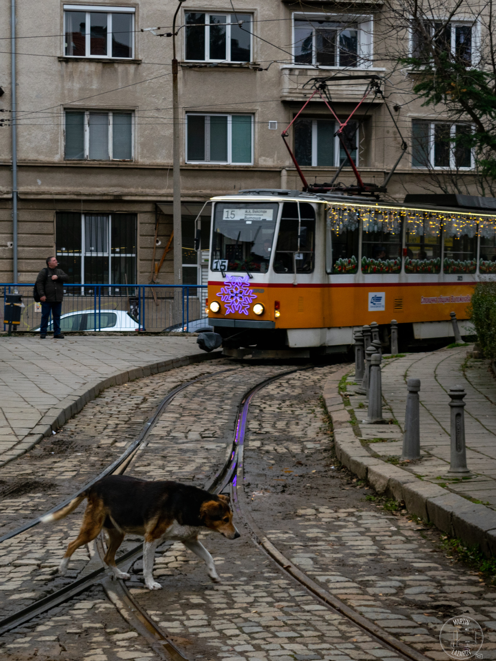 Transport and animals