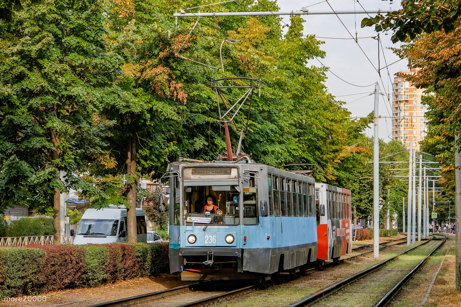 Краснодар, 71-608К № 236