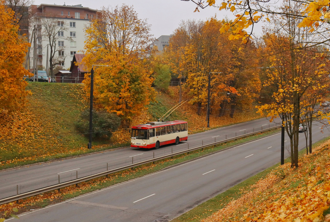 Vilnius — Loops and lines