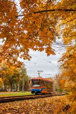 491 КБ