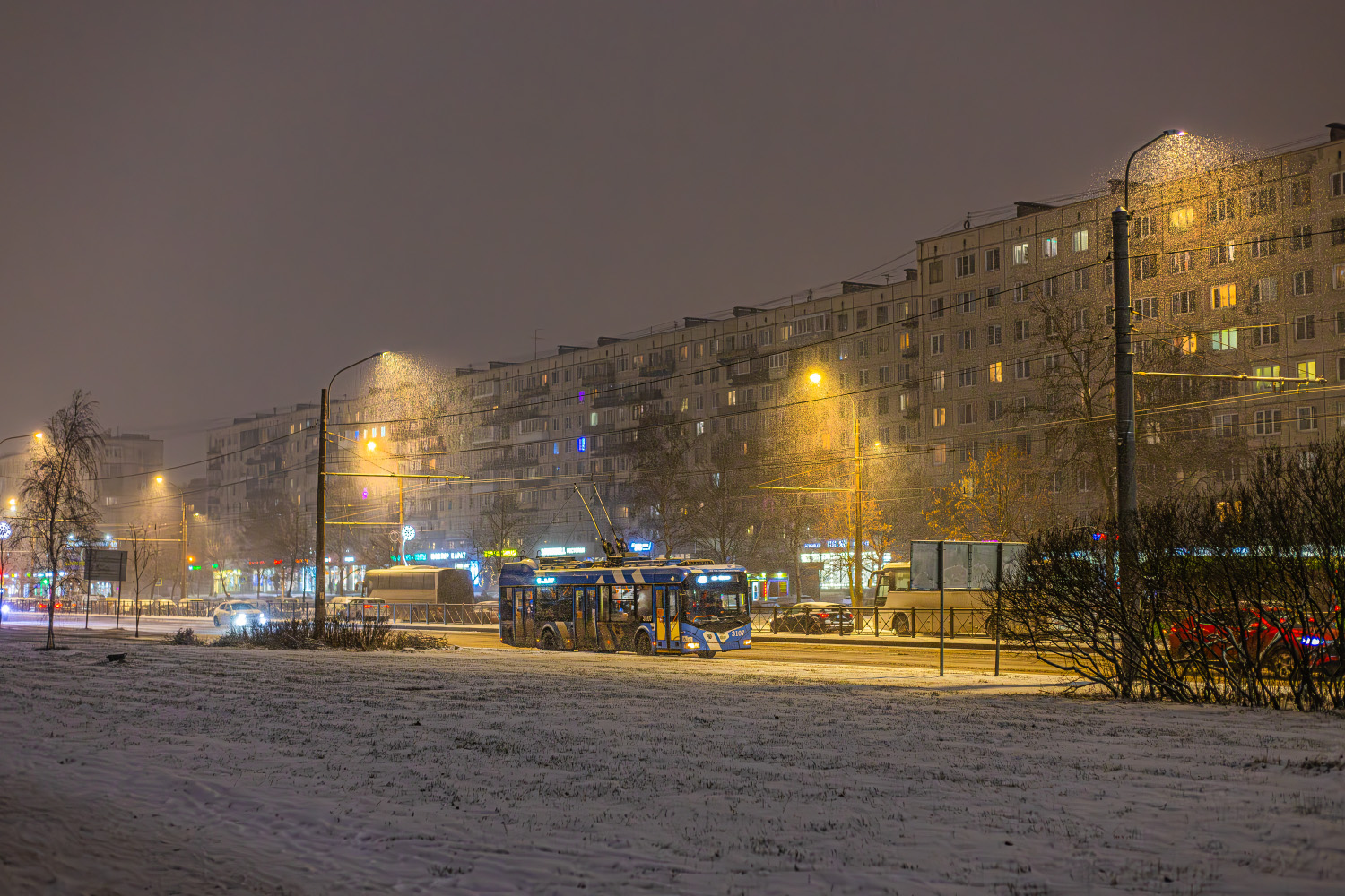 Санкт-Петербург — Троллейбусные линии и инфраструктура