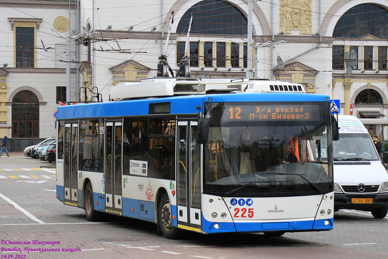 Витебск, МАЗ-203Т70 № 225