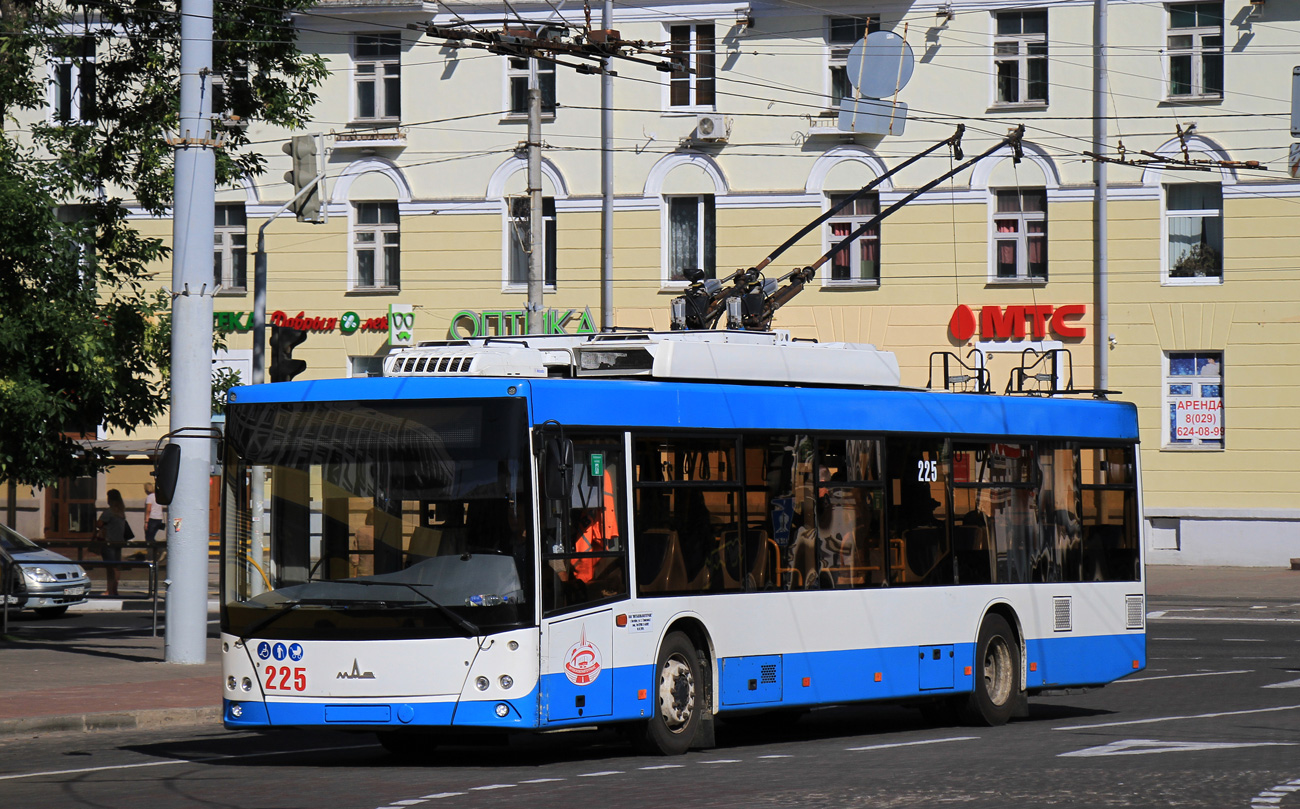 Витебск, МАЗ-203Т70 № 225
