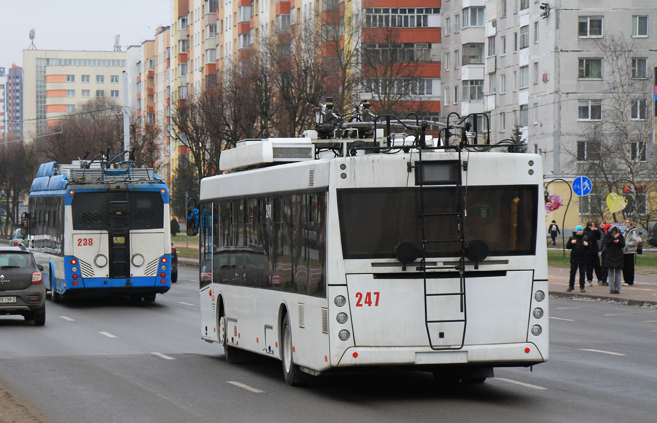 Витебск, МАЗ-203Т70 № 247
