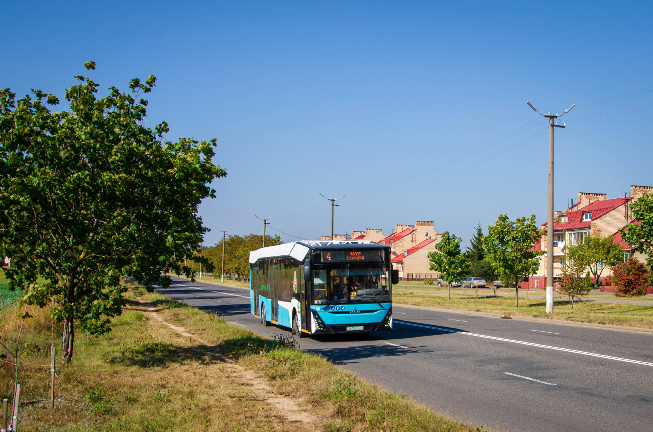 Жодино, МАЗ-303Е22 № АА Е010-5