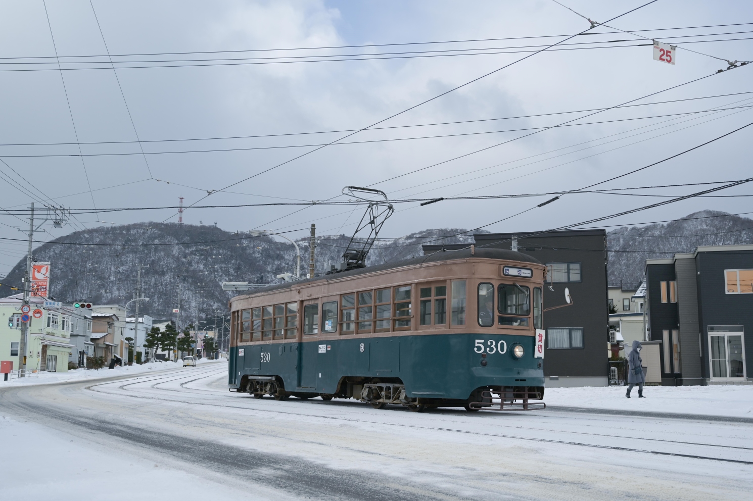 Хакодате, Nippon Sharyō Hakodate series 500 № 530