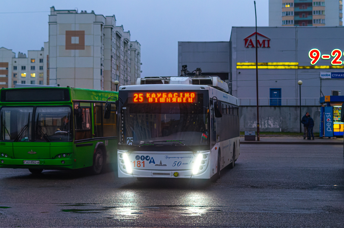Гродно, МАЗ-203Т70 № 181