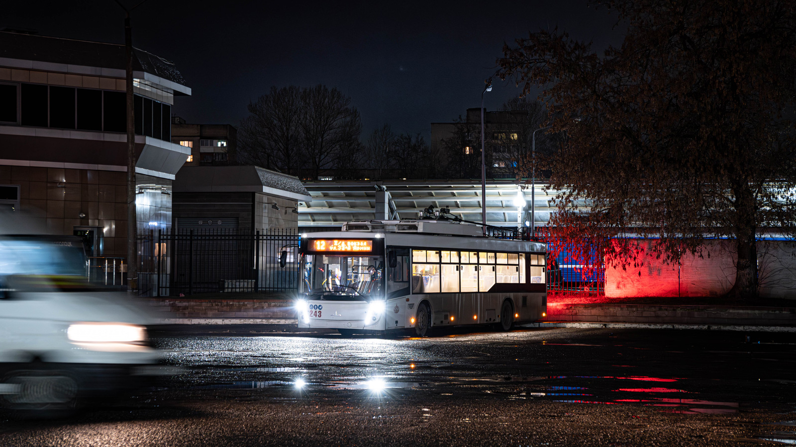 Витебск, МАЗ-203Т70 № 243