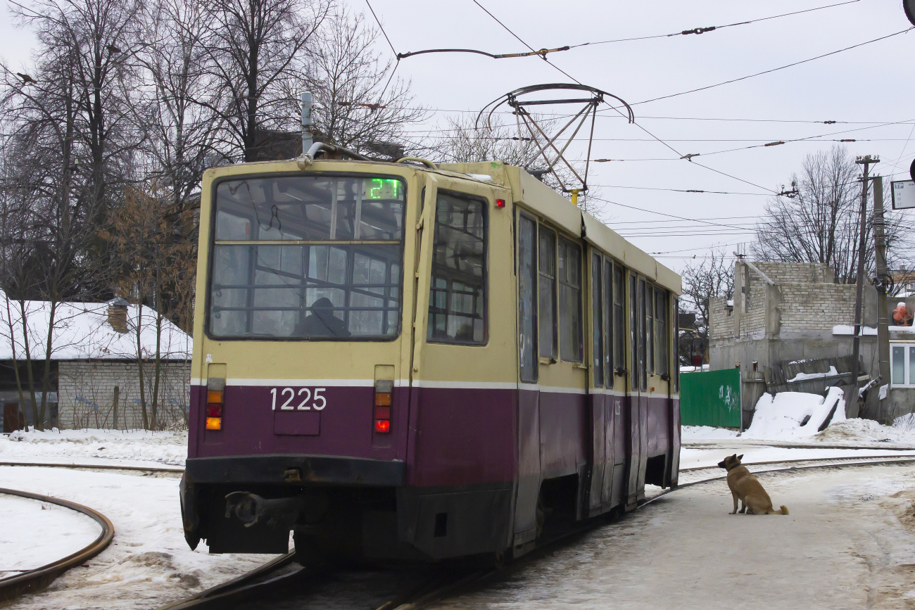 Nischni Nowgorod, 71-608KM Nr. 1225; Transport and animals