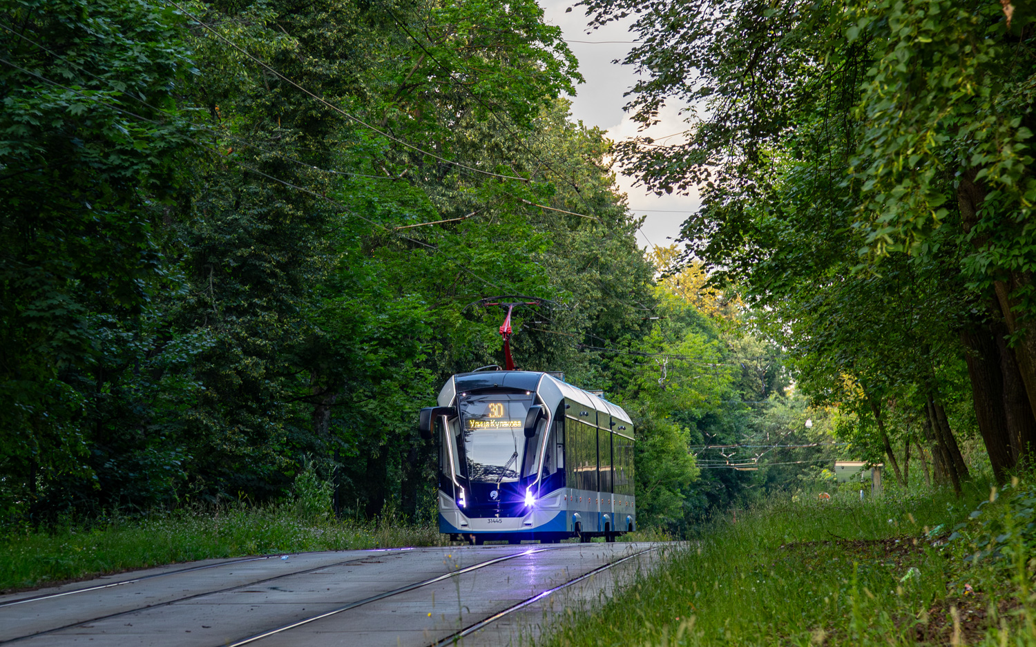 Москва, 71-931М «Витязь-М» № 31445