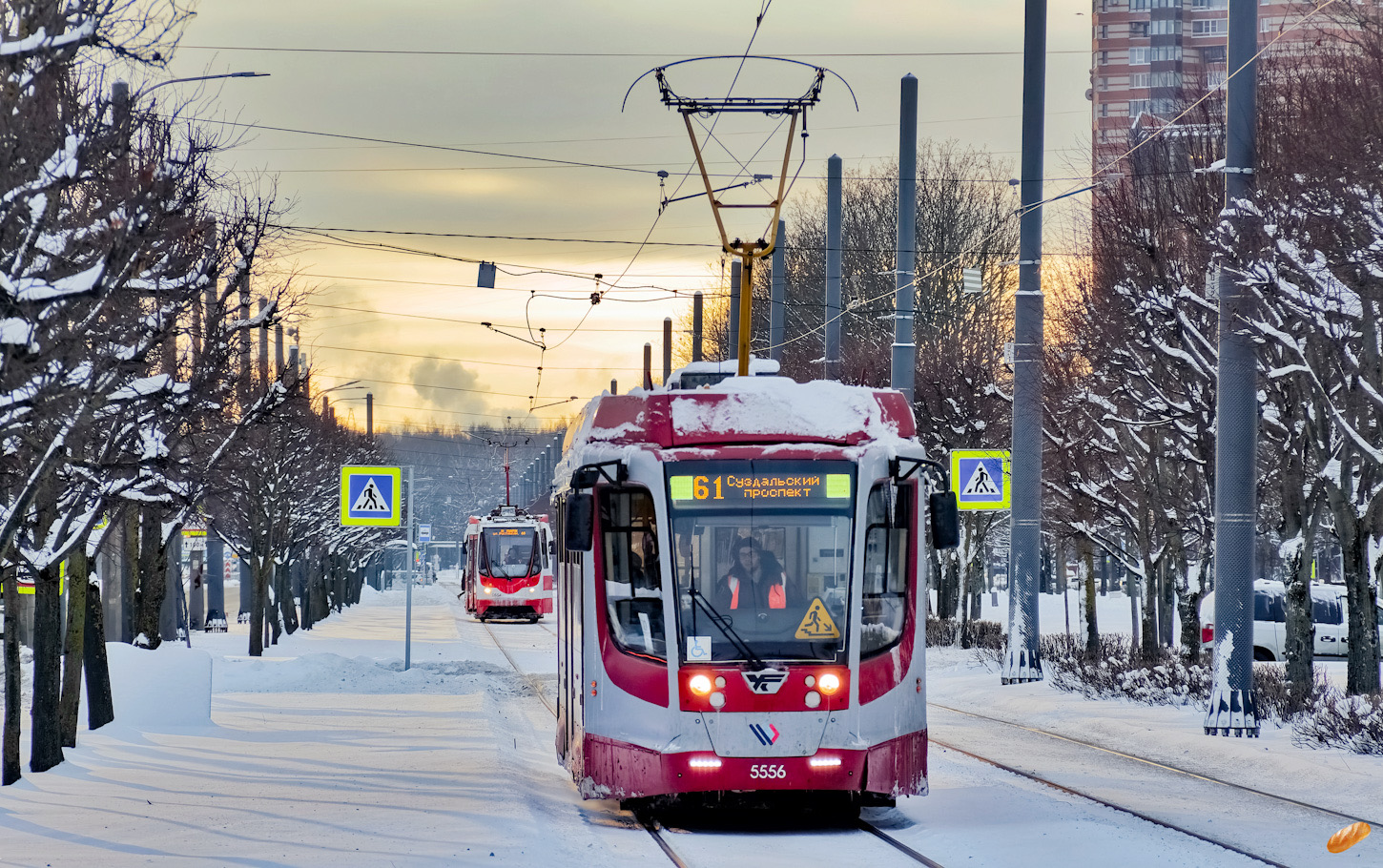 Санкт-Петербург, 71-623-03 № 5556