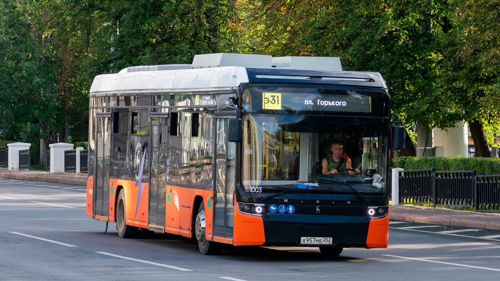 Нижний Новгород, Нижэкотранс-6256 «МиНиН» (БКМ Е450) № 1003