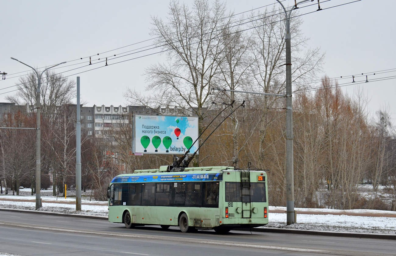 Homiel, BKM 321 # 1810