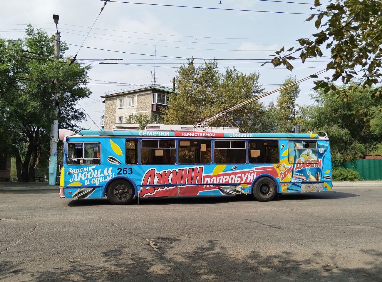 Чита, ЗиУ-682Г-016.04 (с широкой 1-й дверью) № 263