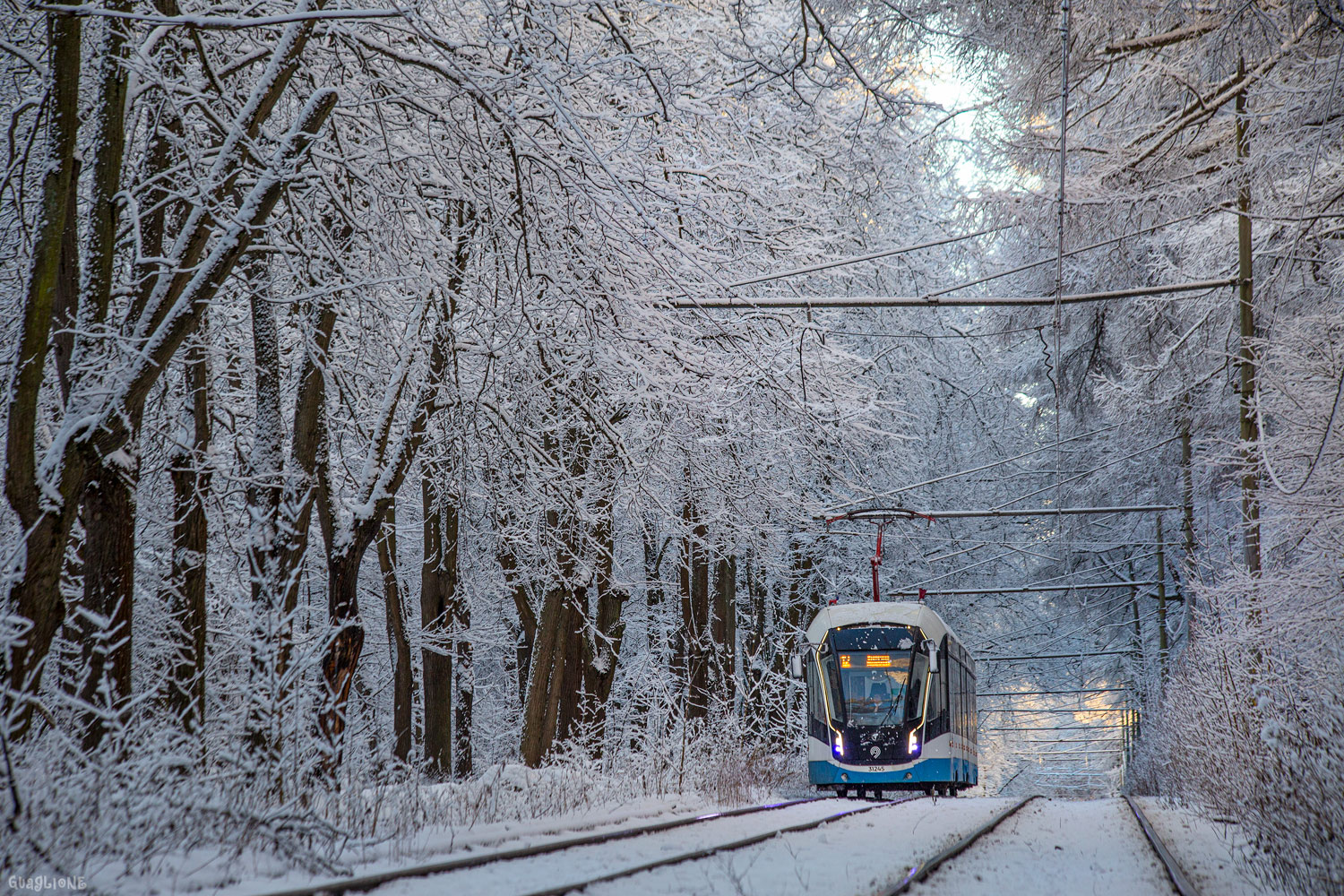Москва, 71-931М «Витязь-М» № 31245