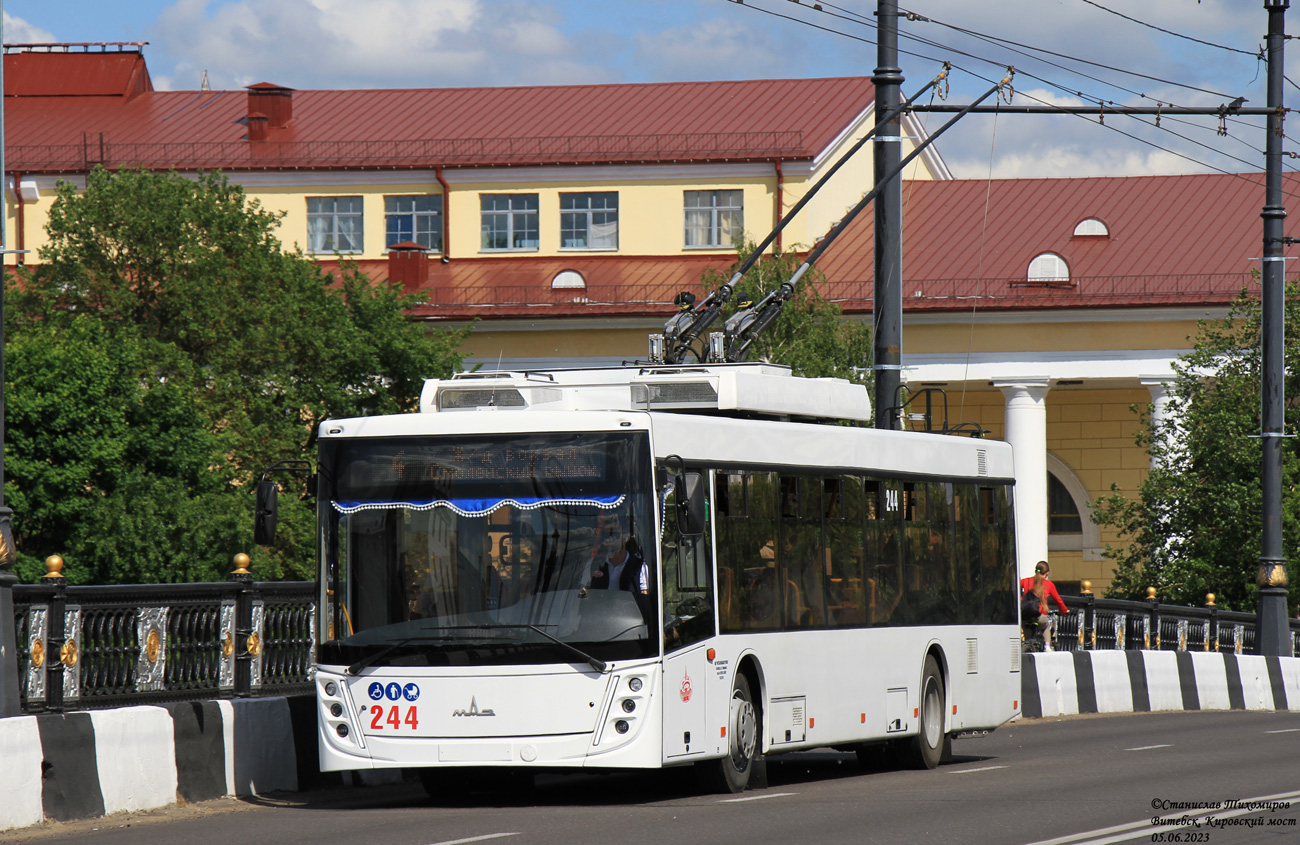 Витебск, МАЗ-203Т70 № 244