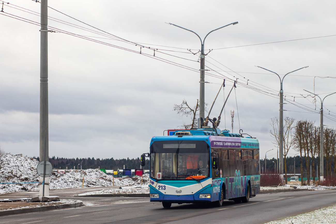 Vitsyebsk, BKM 321 Nr. 213