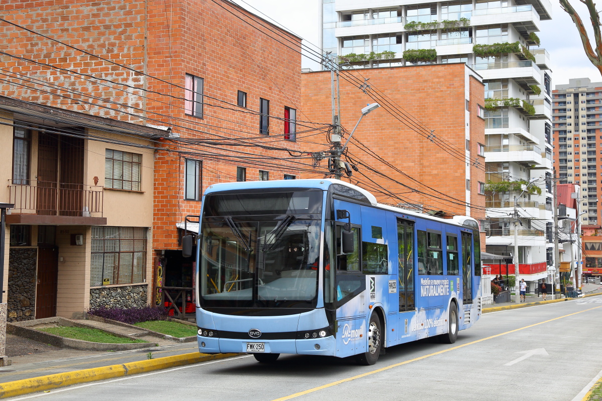 Медельин, BYD K9 № FWK-250