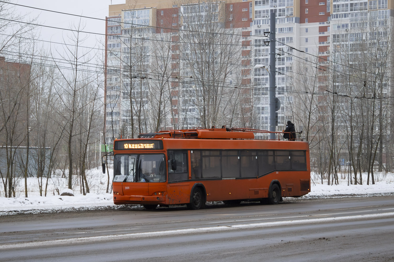 Нижний Новгород, СВАРЗ-МАЗ-6235.00 № 3101