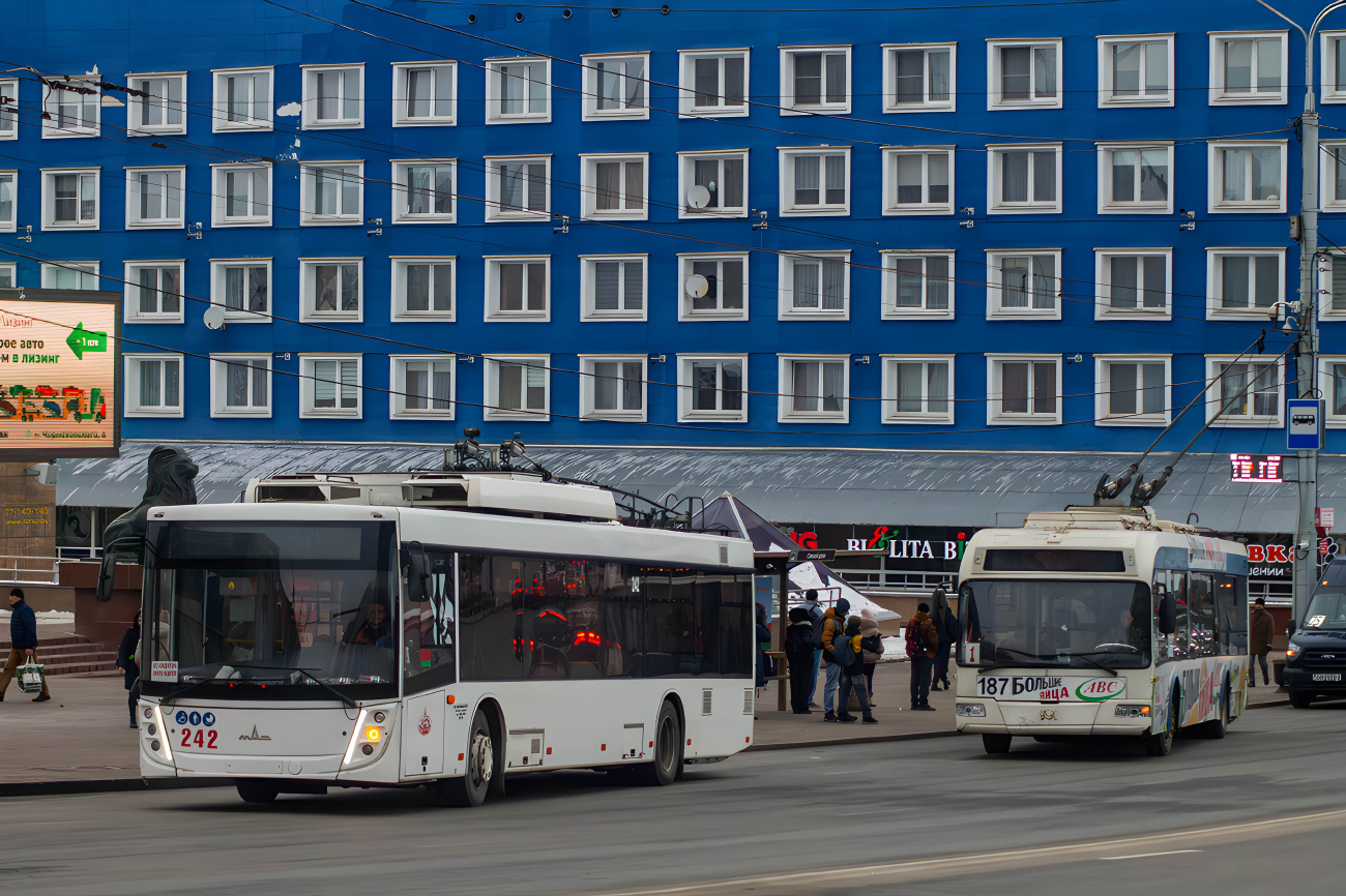 Витебск, МАЗ-203Т70 № 242
