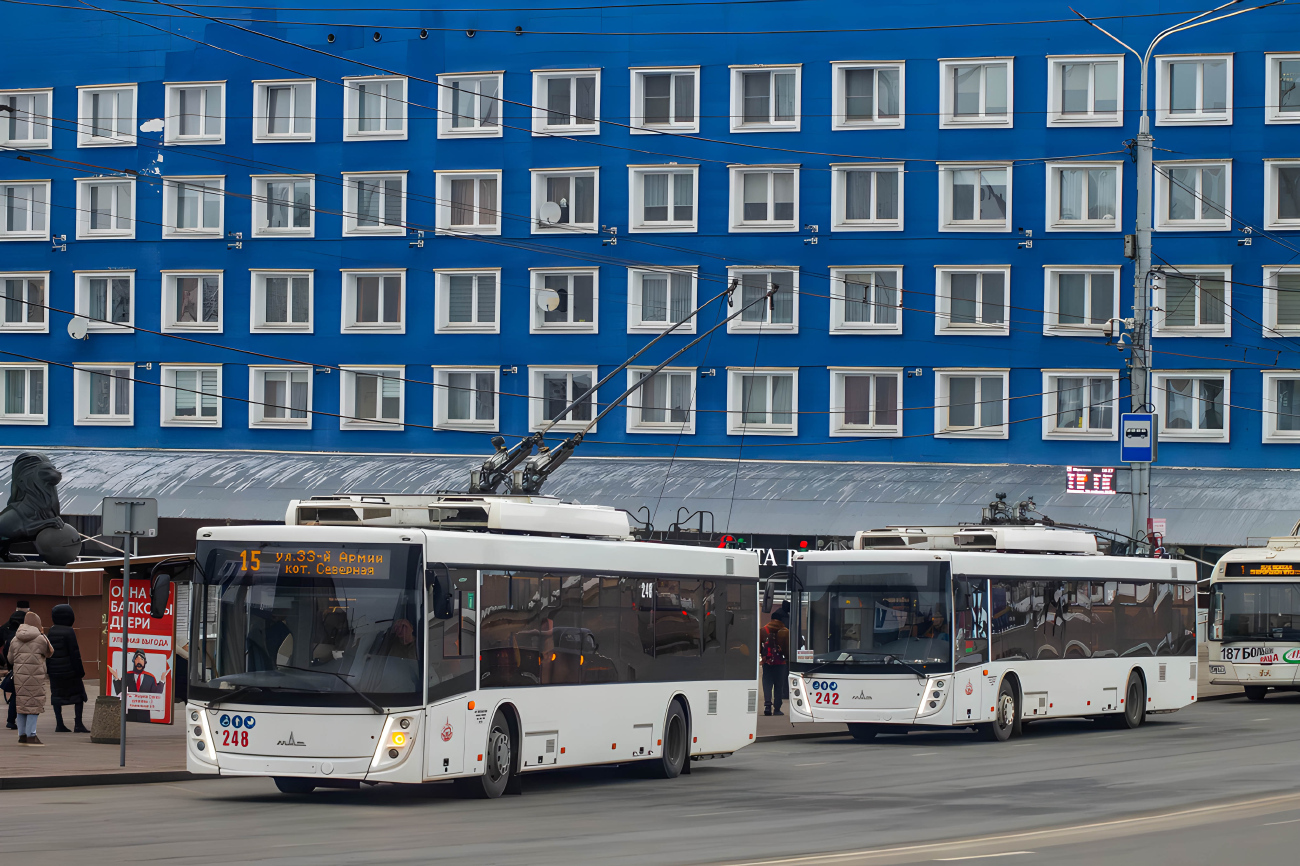 Витебск, МАЗ-203Т70 № 248; Витебск, МАЗ-203Т70 № 242