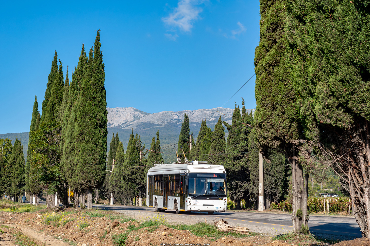 Крымский троллейбус, Тролза-5265.05 «Мегаполис» № 8606
