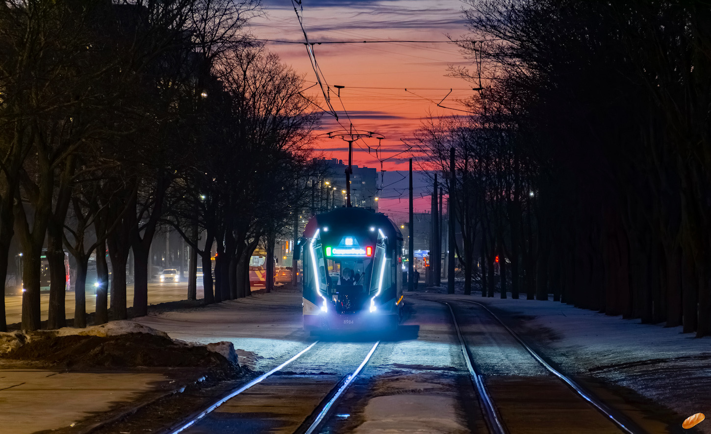 Санкт-Петербург, 71-931М «Витязь-М» № 8984