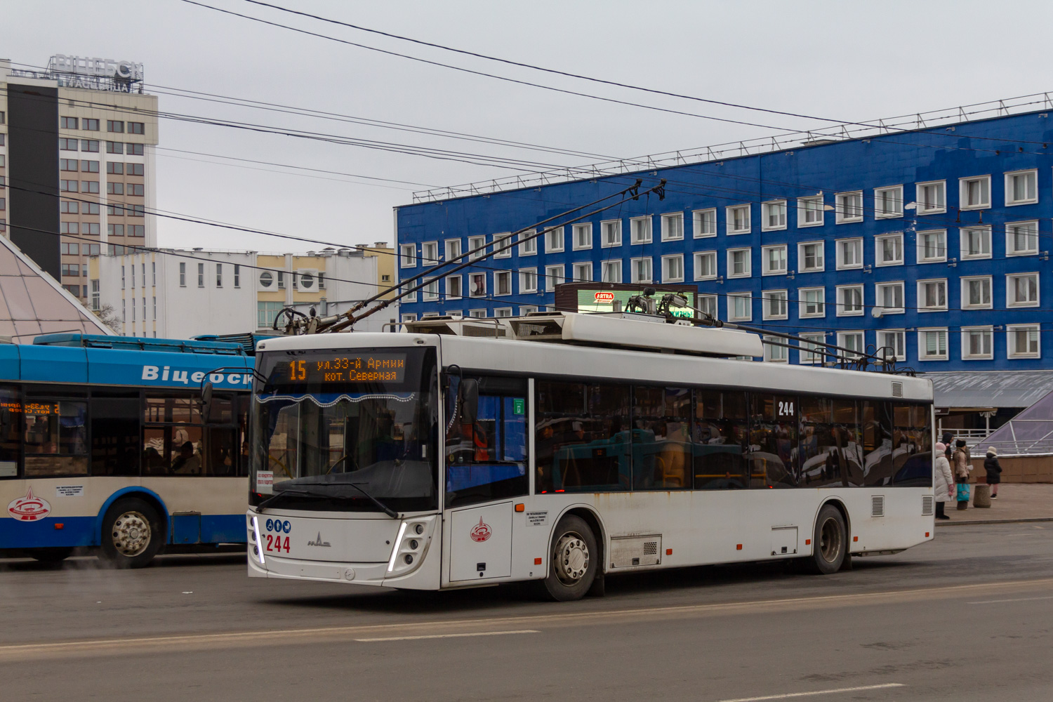 Витебск, МАЗ-203Т70 № 244