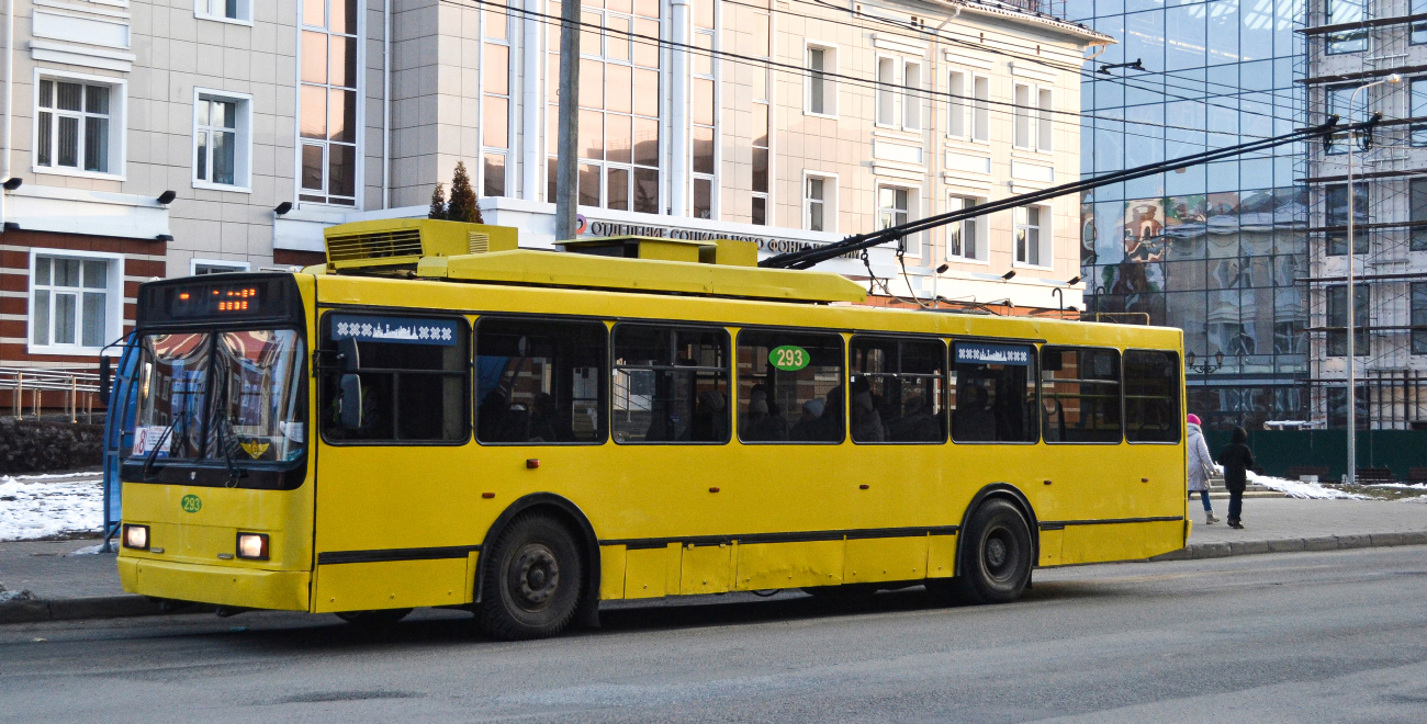 Йошкар-Ола, ВМЗ-52981 № 293