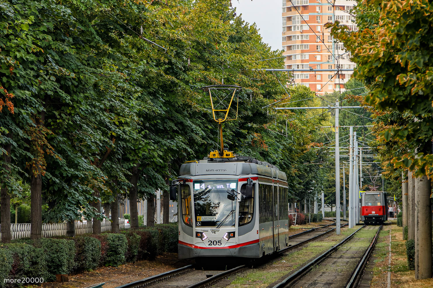 Краснодар, 71-631-03 № 205