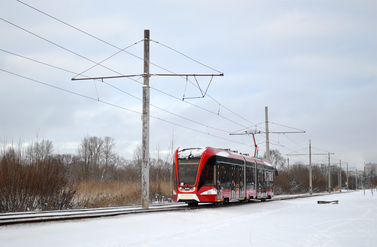 Санкт-Петербург, 71-931М «Витязь-М» № 8986