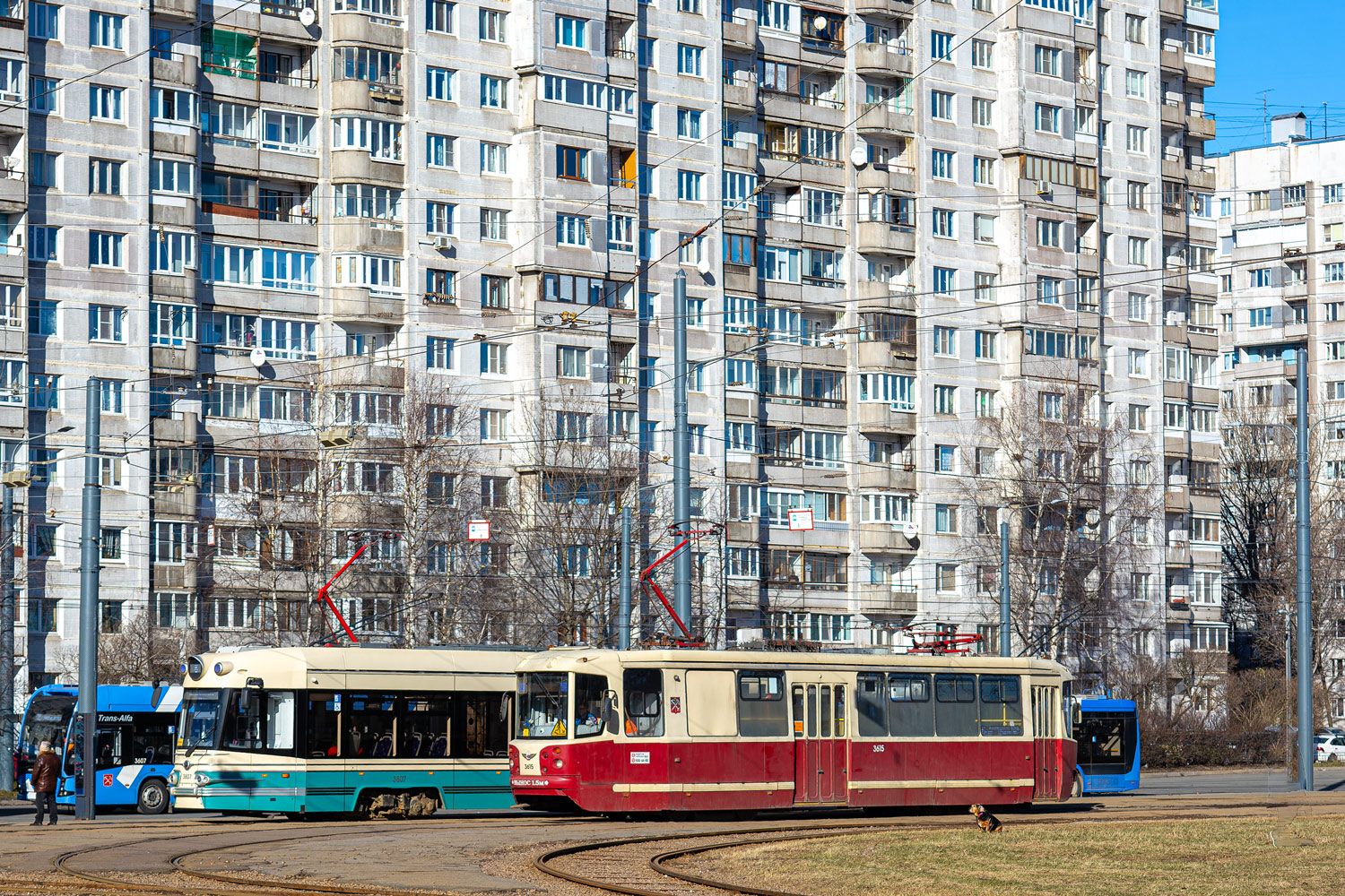 Санкт-Петербург, ТС-77 № 3615