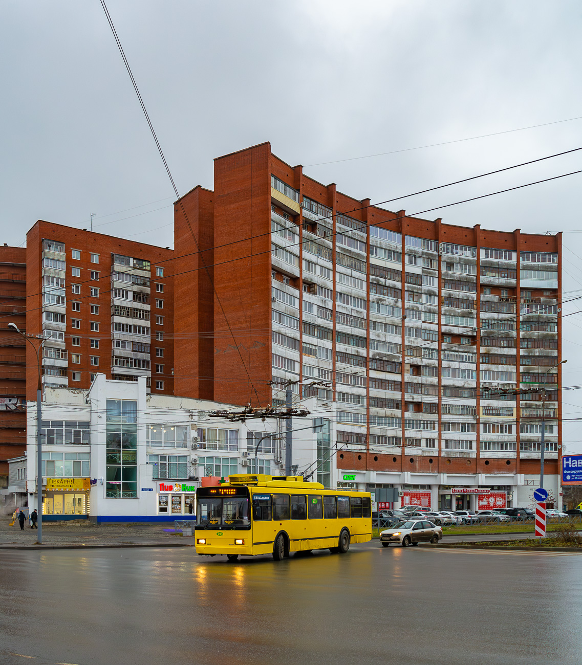 Йошкар-Ола, ВМЗ-52981 № 293