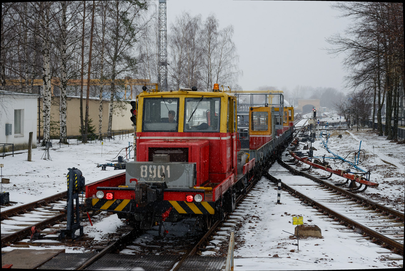 Санкт-Петербург, АГМу № 8901