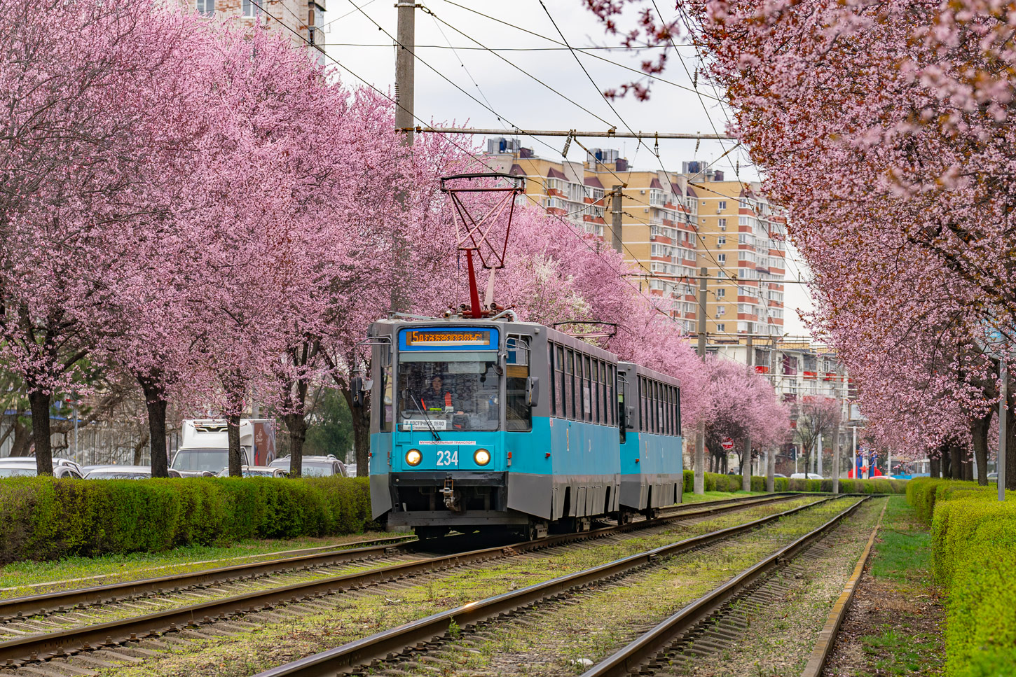 Краснодар, 71-608К № 234