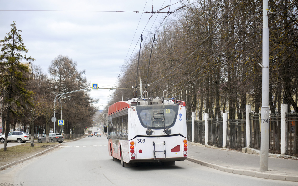 Владимир, ВМЗ-5298.01 «Авангард» № 309 Владимир, ВМЗ-5298.01 «Авангард» № 309