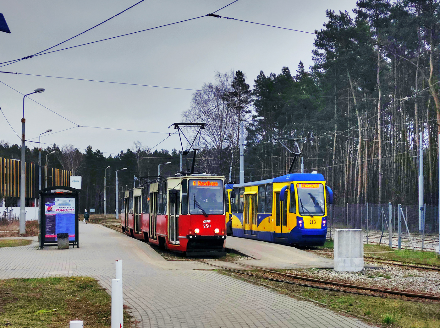 Toruń, Konstal 805Na Nr 250; Toruń, Konstal 805NaND Nr 213 Toruń, Konstal 805Na Nr 250; Toruń, Konstal 805NaND Nr 213