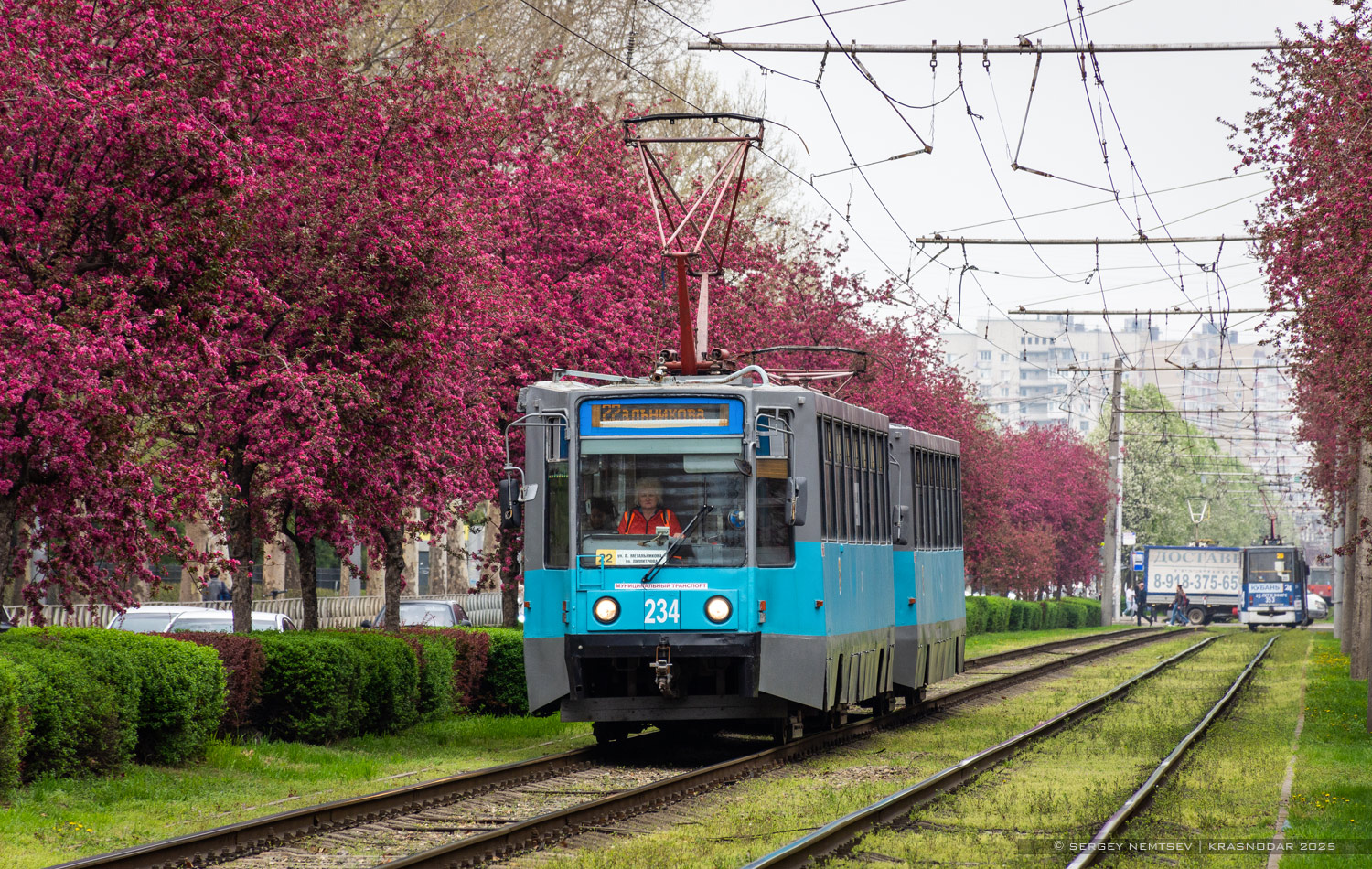 Краснодар, 71-608К № 234