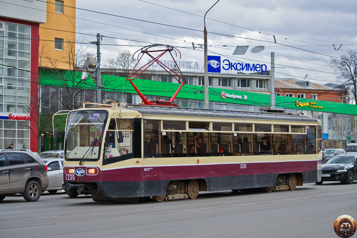 Нижний Новгород, 71-619КТ № 1239