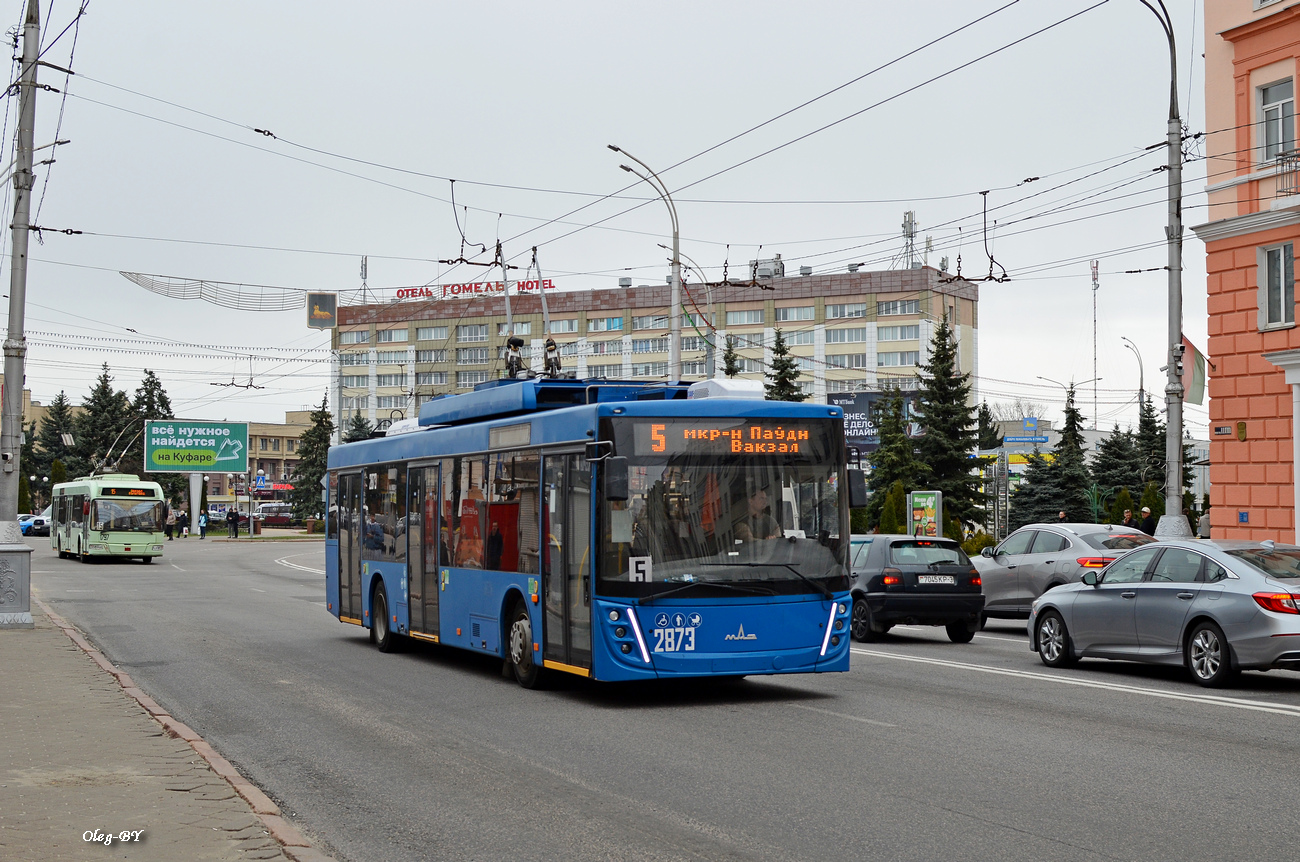 Гомель, МАЗ-203Т70 № 2873