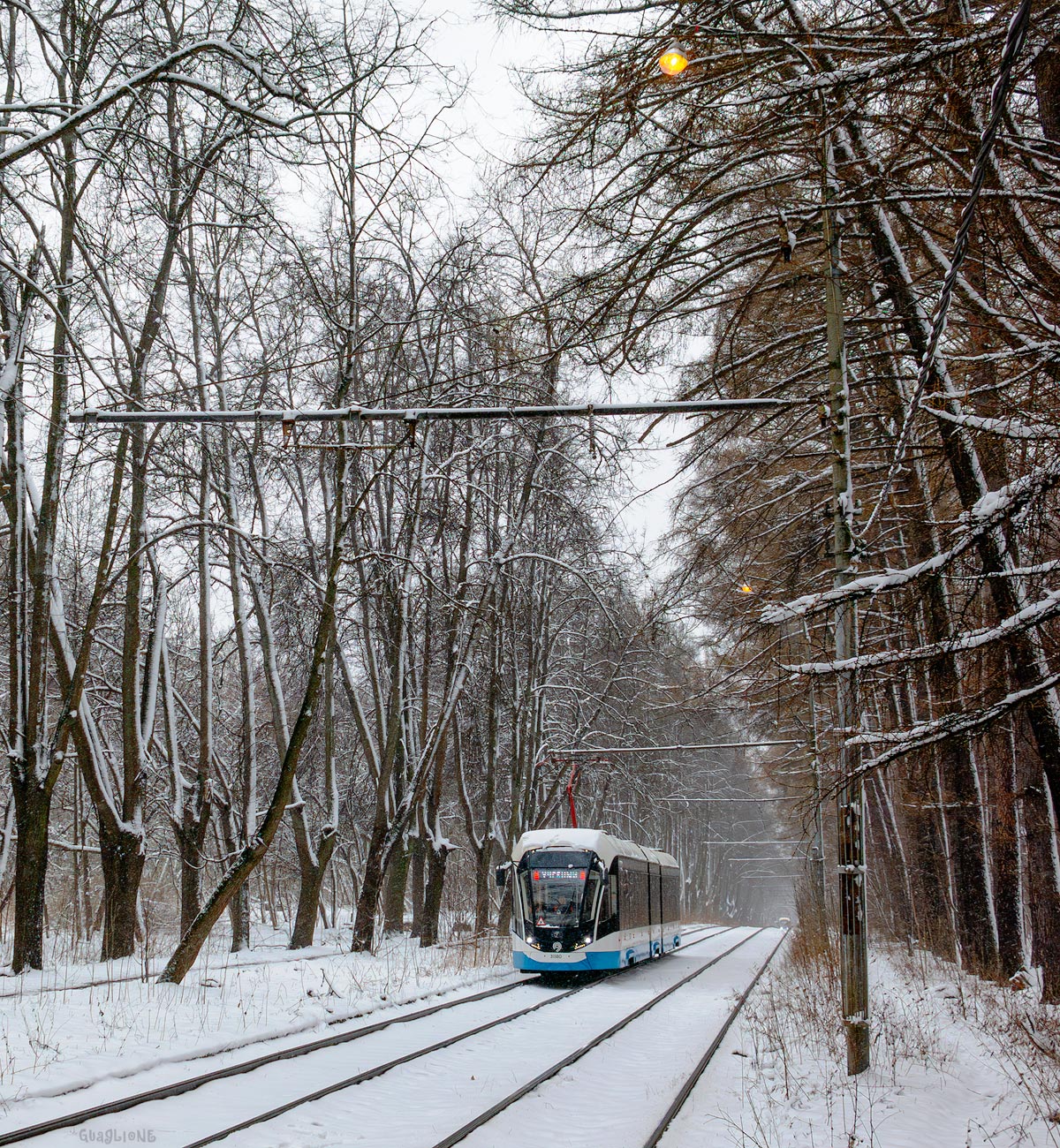 Москва, 71-931М «Витязь-М» № 31180